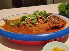 -阿五黄河大鲤鱼(海尚店)