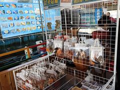 -蓝湾碧波·老字号·疍家非遗海上餐厅
