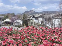-时光吧·大堂吧·丽江和府洲际度假酒店