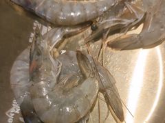 -西塔金胖胖首尔自助烤肉·街头小吃大排档