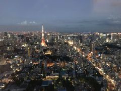 -六本木新城展望台(东京城市景观)