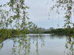 -观山湖公园