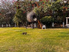 -云南滇池花园国际大酒店温泉