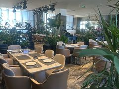 -北京东三环希尔顿逸林酒店