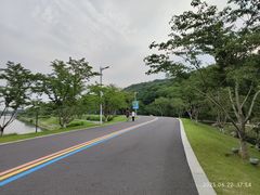 -羊山湖公园