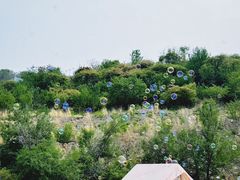 -潭柘厚院(桑峪村店)