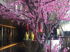 -金轩中餐厅 Jin Xuan(浦东丽思卡尔顿酒店)