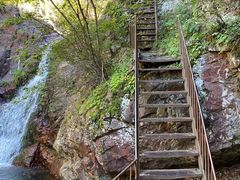 -云岫谷游猎自然风景区