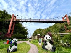 -沐川竹海旅游景区