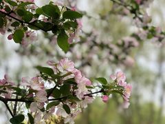 -天鹅湖体育公园