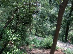 -岳麓山风景名胜区