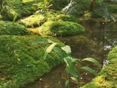 -成都市活水公园