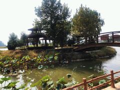-白洋淀景区