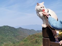 -大围山国家森林公园