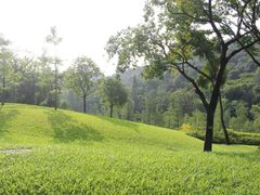 -云溪植物园