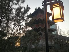 -迎泽公园