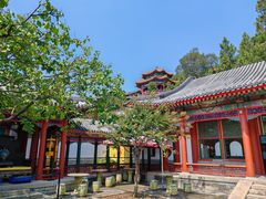 -宫事颐庭·老佛爷贵寿下午茶(颐和园店)