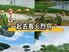 -南宁南湖公园