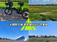 -哈尔滨大剧院