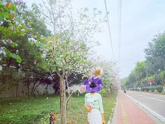 -彩蝶谷美食廊·粤式经典南番顺·铁板烧烤泰风味(广州长隆酒店)