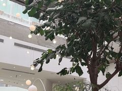 -大树餐厅(红旗街万达店)