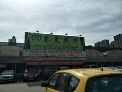 门头-秦美花卉(天朗·莱茵小城2期店)