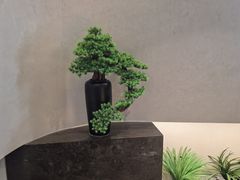 -真地道京味府·鲜橙烤鸭·北京菜(朝外大街东大桥店)