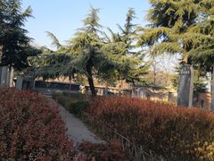 -东方巨龟苑景区