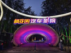 -枫花园汽车电影院(朝阳公园店)