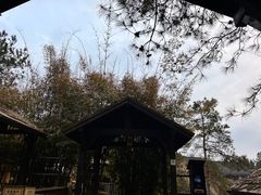 -崇阳三特浪口温泉