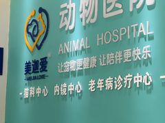 -美迦爱-牙专科·兔科·骨科诊疗中心(北苑店)