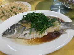 蒸皖鱼-金豪沙姜鸡饭店(昌平路店)