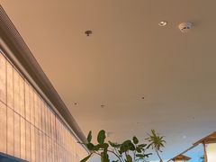 -桂满陇·蟹黄小笼汤包(巴黎春天浦建店)