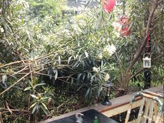 -南京夫子庙国际青年旅舍(平江府路店)