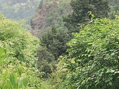 -香山公园