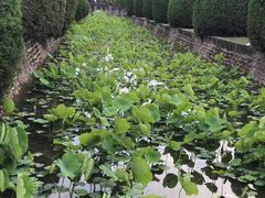 -四川大学(华西校区)