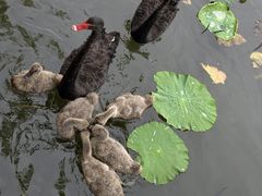 -长兴太湖图影湿地文化园