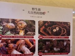 -九龙大酒店·金牌楚菜(武泰闸店)