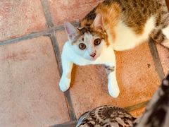 -老宅原住民沙茶面精品小吃(龙头路店)