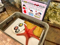 -鹿儿岛水族馆