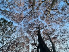 -紫霞湖公园