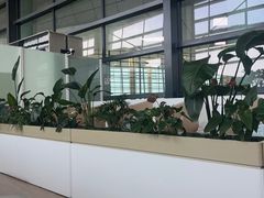 -郑州新郑国际机场-T2航站楼