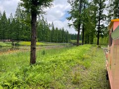 -黄海国家森林公园