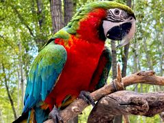 -北京野生动物园