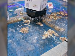 -盒马鲜生(龙德广场店)