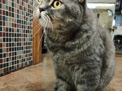 -B.O.M波姆烘焙(凤凰街店)