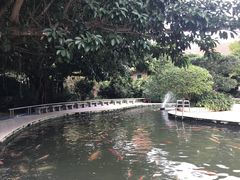 -雁南飞茶田景区