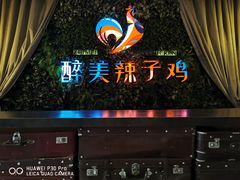 -天山醉美辣子鸡(文艺路店)