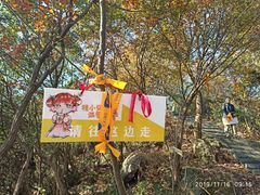 -午潮山国家森林公园
