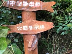 -西尖山公园